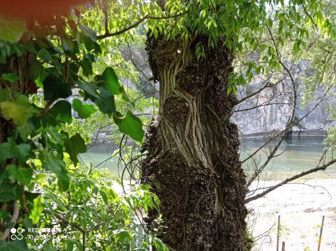 Casa rural en Ruoms - Detalles sobre el alquiler n67372 Foto n15