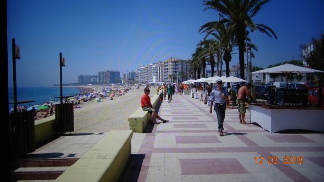 Appartement � Blanes - Location vacances, location saisonni�re n�67428 Photo n�16