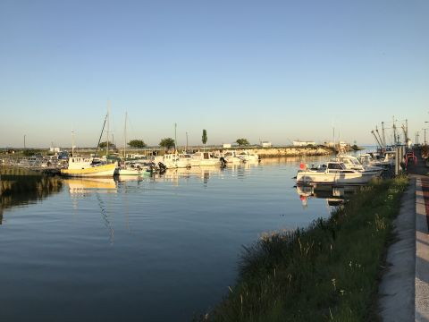 Wohnwagen in Meschers-sur-Gironde  - Anzeige N  67487 Foto N11