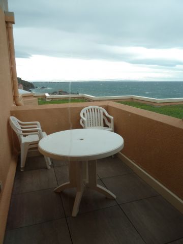 Studio in Collioure - Vacation, holiday rental ad # 67764 Picture #4