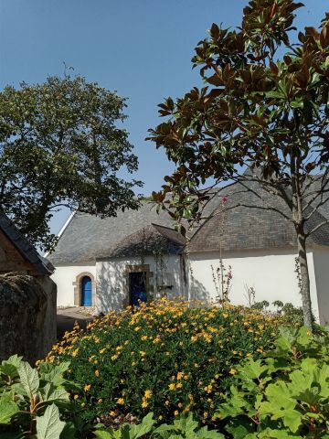 Haus in Damgan - Anzeige N  67803 Foto N19