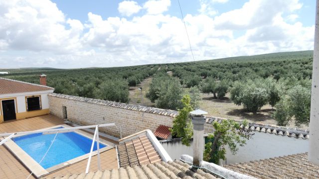 Gite in Jaen - Vacation, holiday rental ad # 67829 Picture #5