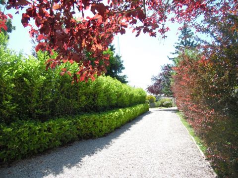 Gite in Villiers sur tholon - Vakantie verhuur advertentie no 67858 Foto no 10