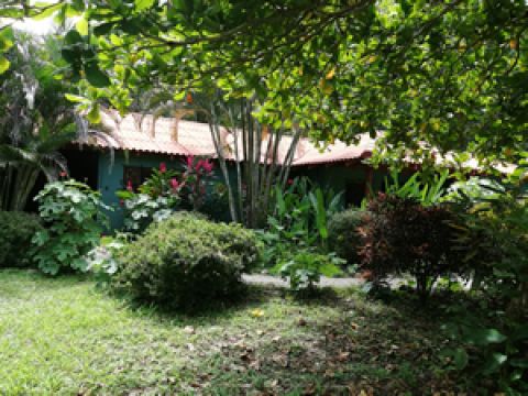 Bed and Breakfast in Cabuya - Vacation, holiday rental ad # 67864 Picture #8 thumbnail