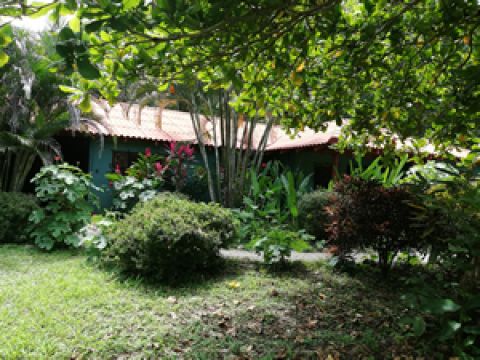 Bed and Breakfast in Cabuya - Vakantie verhuur advertentie no 67864 Foto no 8