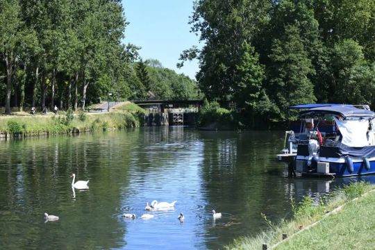 Casa en Moret-sur-Loing - Detalles sobre el alquiler n67901 Foto n9