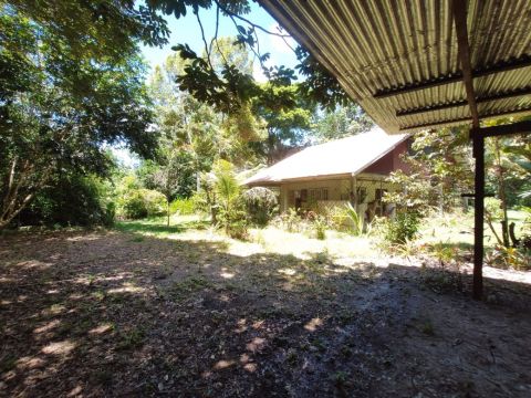 House in Para - Vacation, holiday rental ad # 68010 Picture #1