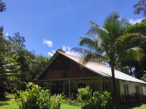 House in Para - Vacation, holiday rental ad # 68010 Picture #2