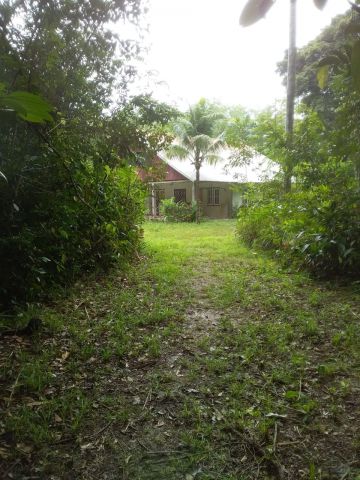 House in Para - Vacation, holiday rental ad # 68010 Picture #5