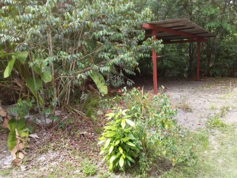 House in Para - Vacation, holiday rental ad # 68010 Picture #9