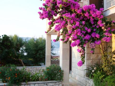 Haus in Povlja fr  7 •   mit Terrasse 