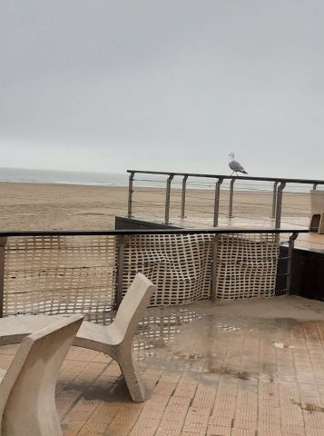Gite in Oostende - Vacation, holiday rental ad # 68327 Picture #13