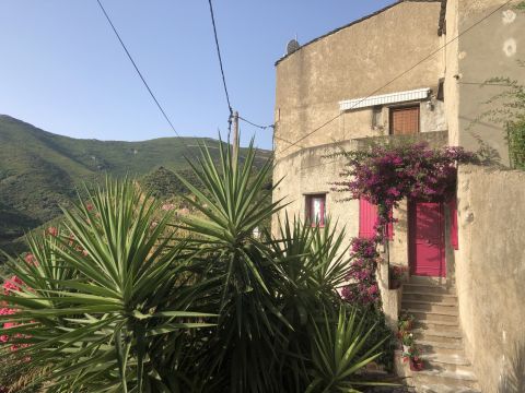 Gite  Rogliano - Location vacances, location saisonnire n68353 Photo n12