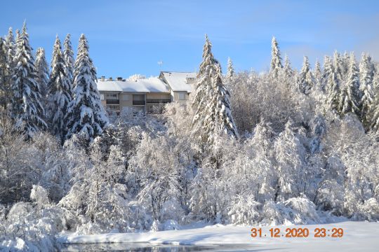 Casa rural en Laguiole - Detalles sobre el alquiler n68357 Foto n6