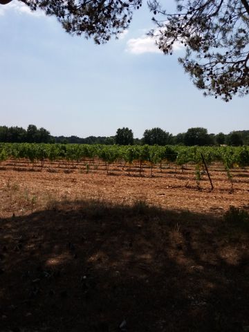 Casa rural en La motte-d'aigues - Detalles sobre el alquiler n68379 Foto n1