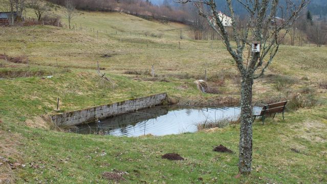 Casa rural en Ventron La Bamboisienne - Detalles sobre el alquiler n68466 Foto n14