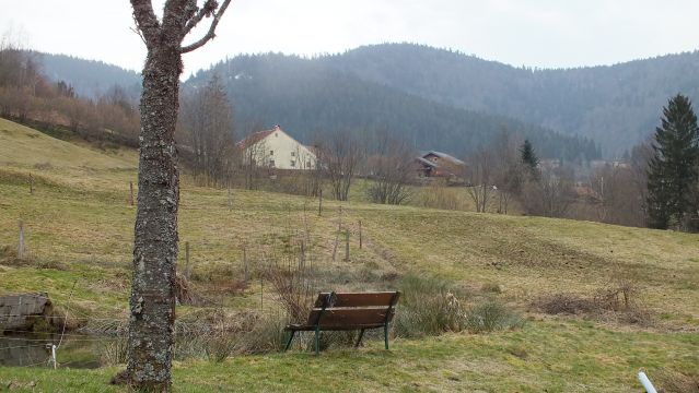 Casa rural en Ventron La Bamboisienne - Detalles sobre el alquiler n68466 Foto n15