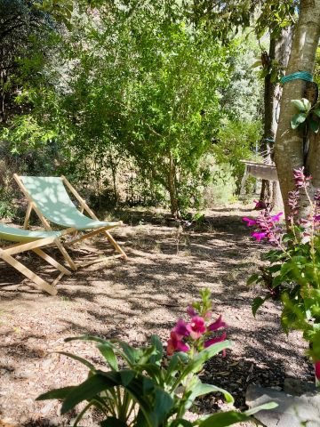 Bed and Breakfast in Caunes minervois - Vakantie verhuur advertentie no 68515 Foto no 11