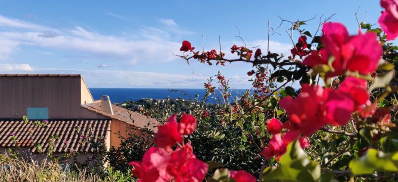 Studio  Cavalaire sur mer - Location vacances, location saisonnire n68516 Photo n1