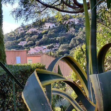 Studio in Cavalaire sur mer - Anzeige N  68516 Foto N2