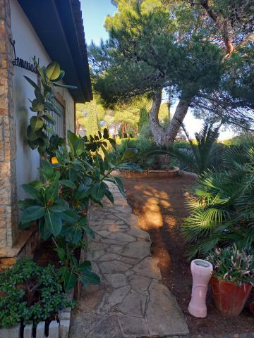 Farm in L'Ametlla de Mar - Vacation, holiday rental ad # 68545 Picture #14