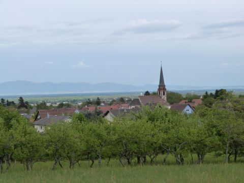 Casa rural en Wuenheim - Detalles sobre el alquiler n68654 Foto n15