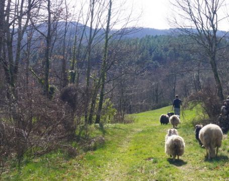 Casa rural en Joannas - Detalles sobre el alquiler n68661 Foto n3