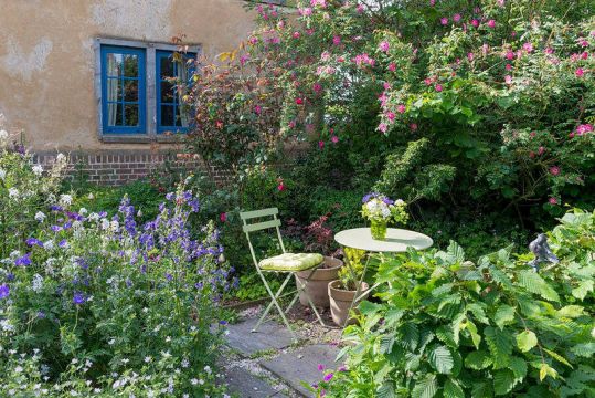 Bed and Breakfast (miss) St sylvestre cappel - Ilmoituksen yksityiskohdat:68717 Kuva nro10