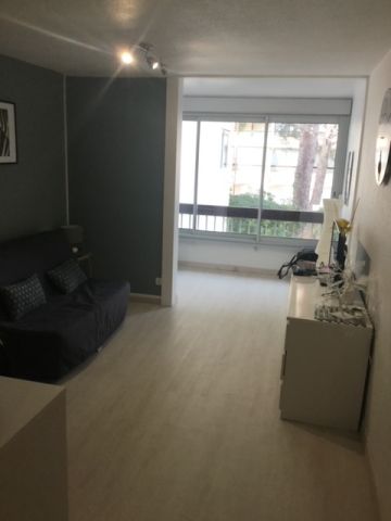 Appartement in Marseillan plage - Anzeige N  68739 Foto N0