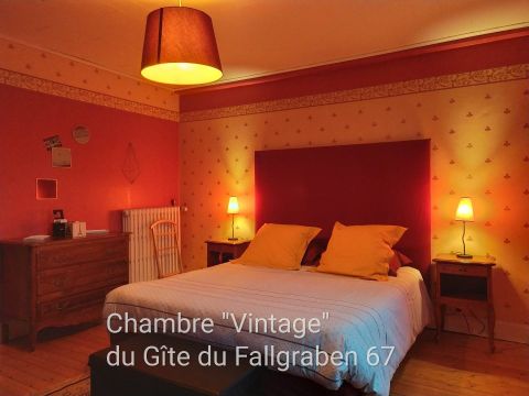 Gite in   Soufflenheim - Vakantie verhuur advertentie no 68766 Foto no 8