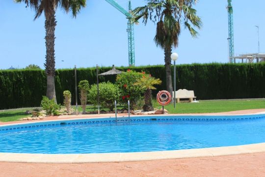 Apartamento en Punta Prima - Detalles sobre el alquiler n68781 Foto n5