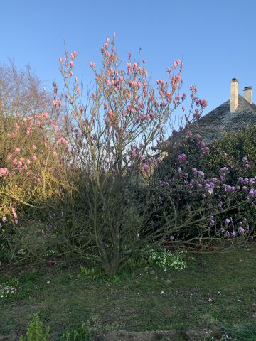 Maison  Omonville la Rogue - Location vacances, location saisonnire n68833 Photo n10