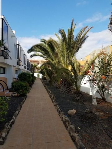 Flat in Fuerteventura - Vacation, holiday rental ad # 68897 Picture #18