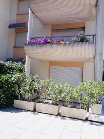 Flat in Sainte maxime - Vacation, holiday rental ad # 68954 Picture #2