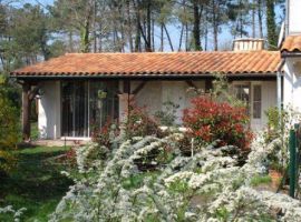 Chalet  Mios pour  4 •   animaux accepts (chien, chat...) 