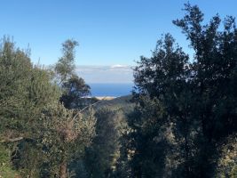 Gite à Rogliano pour  5 •   vue sur mer 
