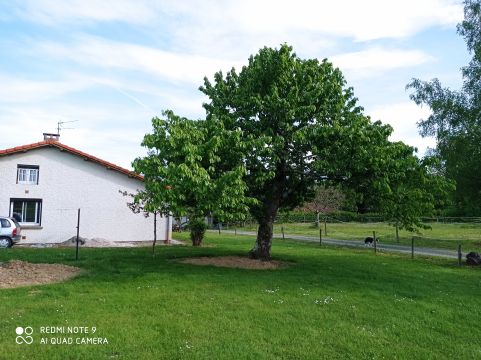 Casa rural en Ganties - Detalles sobre el alquiler n69081 Foto n11