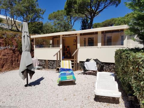 Bungalow in Le Muy - Vacation, holiday rental ad # 69220 Picture #0
