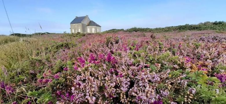 House in Camaret sur mer - Vacation, holiday rental ad # 69266 Picture #12