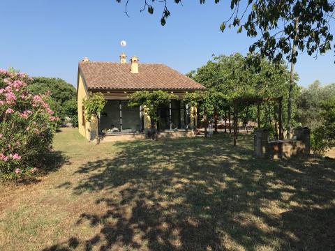 Maison  Marta (viterbo) pour  12 •   avec piscine prive 