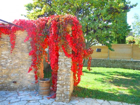 Casa en Saint saturnin les apt - Detalles sobre el alquiler n69401 Foto n6