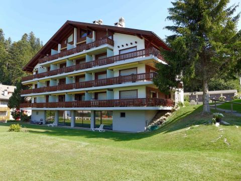 Studio in Crans-Montana - Vacation, holiday rental ad # 69404 Picture #13