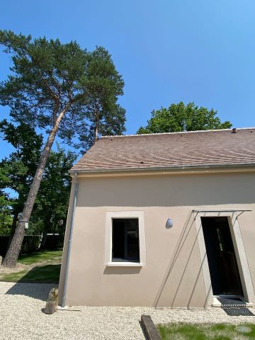 Gite in 77630 - Arbonne la foret - Anzeige N  69441 Foto N11
