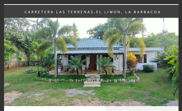 House in Las Terrenas - Vacation, holiday rental ad # 69448 Picture #0 thumbnail
