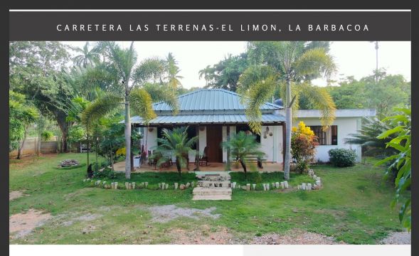 Casa en Las Terrenas - Detalles sobre el alquiler n69448 Foto n0