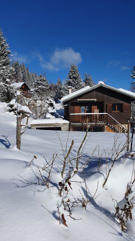Chalet in Autrans-meaudre - Vacation, holiday rental ad # 69657 Picture #0