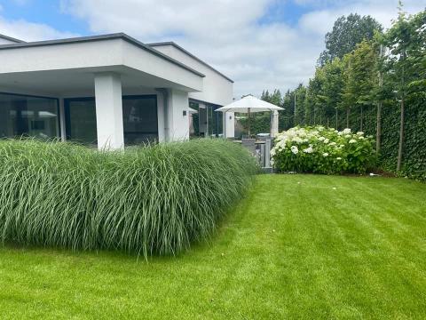 House in Oostduinkerke - Vacation, holiday rental ad # 69660 Picture #0 thumbnail