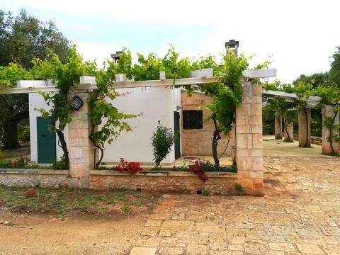 Maison à Hyeres - Location vacances, location saisonnière n°69778 Photo n°4 thumbnail