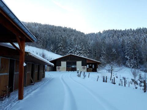 Chalet in Basse-sur-le-Rupt - Anzeige N  69799 Foto N8