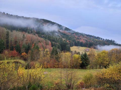 Chalet  Basse-sur-le-rupt pour  10 •   vue sur lac 